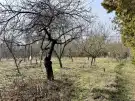 Komárom-Esztergom megye - Oroszlány