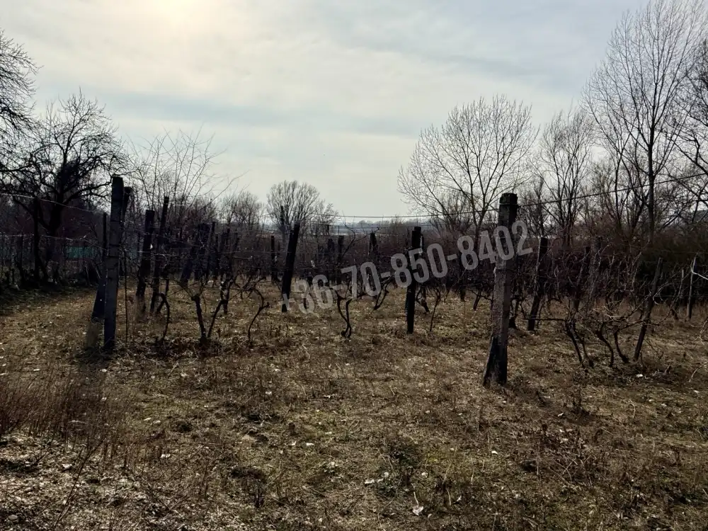 Komárom-Esztergom megye - Oroszlány
