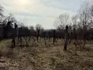 Komárom-Esztergom megye - Oroszlány