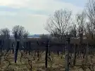 Komárom-Esztergom megye - Oroszlány