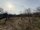 Komárom-Esztergom megye - Oroszlány
