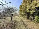 Komárom-Esztergom megye - Oroszlány