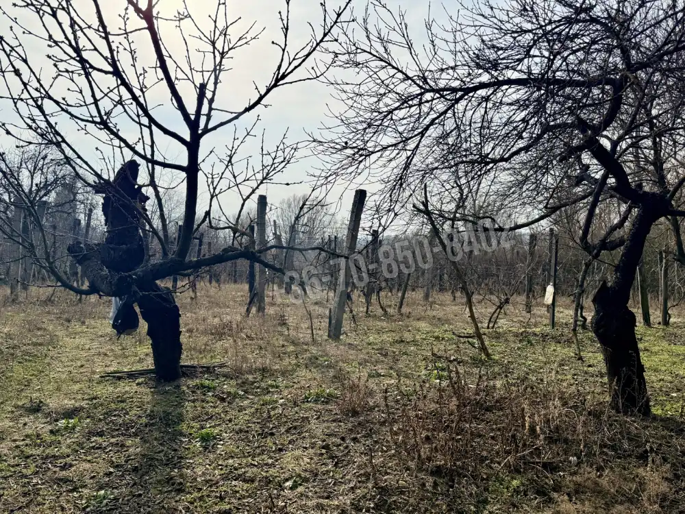 Komárom-Esztergom megye - Oroszlány