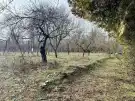 Komárom-Esztergom megye - Oroszlány