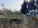 Komárom-Esztergom megye - Oroszlány