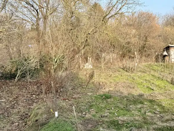 Eladó Szőlős, Oroszlány 1500 m² 11250 M Ft