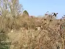 Komárom-Esztergom megye - Oroszlány