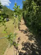 Pest megye - Páty